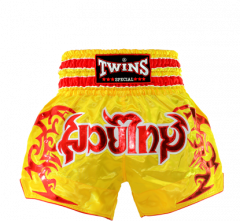 Шорты для MUAY THAI NTBS-003