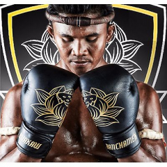 Перчатки для бокса BUAKAW GLOVES (Буакав) 