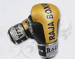 БОКСЕРСКИЕ ПЕРЧАТКИ Raja Boxing 